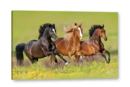 obraz-na-plotnie-canvas-konie-kon-laka-lawenda-las-nowoczesny-100x70-cm-7