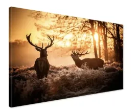 obraz-na-plotnie-canvas-jelen-jelenie-rykowisko-las-nowoczesny-100x70-cm