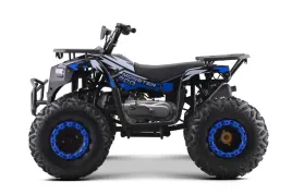 nd28-16708-psp-atv013-nie-pojazd-quad-spalinowy-2