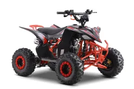 nd28-16727-psp-atv002-new-cr-pojazd-quad-spalinow