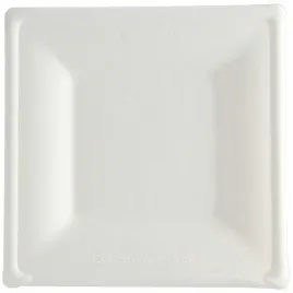talerz-z-trzciny-cukrowej-262-x-262-cm-50-szt