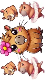 naprasowanka-aplikacja-termo-naklejka-na-odziez-kapibara-capybara-zestaw-9
