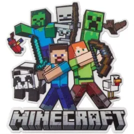 naprasowanka-aplikacja-termo-naklejka-na-odziez-nadruk-minecraft-gra-2