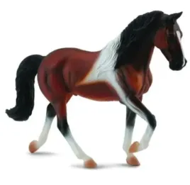 klacz-rasy-stallion-bay-pinto-spacerujaca