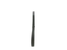 bosch-1-987-946-062-pasek-klinowy-wielorowkowy