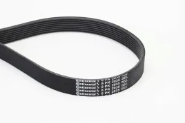 continental-8pk2035-pasek-klinowy-wielorowkowy