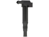 cewka-zaplonowa-delphi-gn10583-12b1