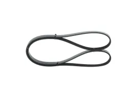 bosch-1-987-946-003-pasek-klinowy-wielorowkowy