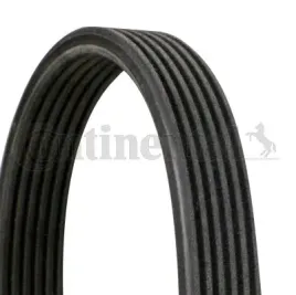 continental-6dpk1817-pasek-klinowy-wielorowkowy