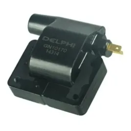 cewka-zaplonowa-delphi-gn10170-12b1
