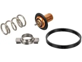 febi-bilstein-173111-termostat-plyn-chlodzacy