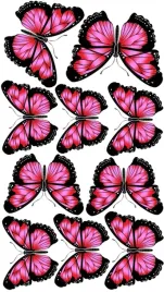 naprasowanka-aplikacja-termo-naklejka-na-odziez-motyl-motylek-kwiaty-13