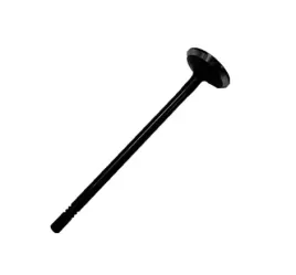 zawor-ssacy-mitsubishi-l200-1010a452