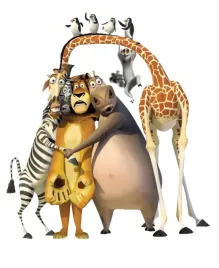 naprasowanka-aplikacja-termo-naklejka-bajka-madagaskar-1