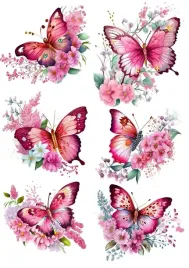 naprasowanka-aplikacja-termo-naklejka-na-odziez-motyl-motyle-kolorowe-2