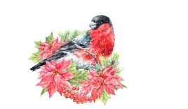 naprasowanka-aplikacja-naklejka-na-ubrania-naplamki-zimowy-ptak-bird-kwiaty