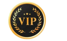 naprasowanka-aplikacja-naklejka-na-ubrania-naplamki-odznaka-vip-luksus-gold
