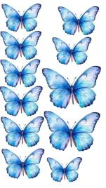 naprasowanka-aplikacja-termo-naklejka-na-odziez-motyle-boho-niebieskie-2