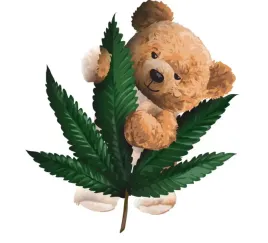 naprasowanka-aplikacja-naklejka-na-ubrania-mis-ralph-z-misiem-marihuana-420
