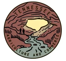 naprasowanka-termo-naklejka-odziez-usa-tennessee