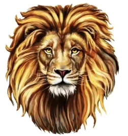naprasowanka-aplikacja-termo-naklejka-na-odziez-lew-grzywa-lion-king-1