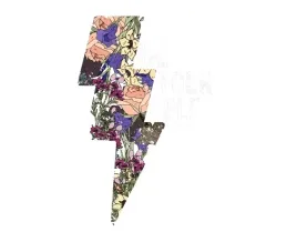 naprasowanka-aplikacja-naklejka-na-ubrania-naplamki-piorun-kwiaty-rosliny-