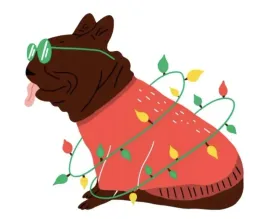 naprasowanka-termo-naklejka-na-odziez-buldog-5