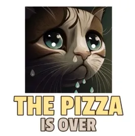 naprasowanka-termo-naklejka-odziez-pizza-over-kot-1
