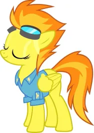 naprasowanka-aplikacja-naklejka-na-ubrania-little-pony-wonderbolts-1