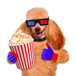 naprasowanka-termo-naklejka-na-odziez-pies-kino-1