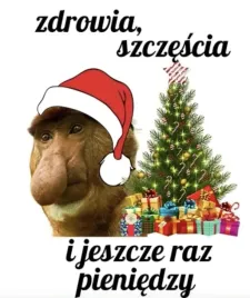 naprasowanka-aplikacja-termo-naklejka-na-odziez-nosacz-janusz-nawzajem-6-1