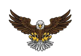 naprasowanka-termo-naklejka-odziez-orzel-2-1