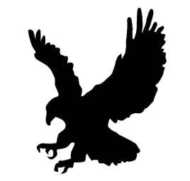 naprasowanka-termo-naklejka-odziez-orzel-1