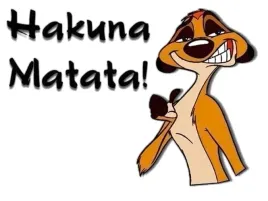naprasowanka-aplikacja-naklejka-na-ubrania-naplamki-hakuna-matata-timon-1