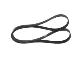 bosch-1-987-946-254-pasek-klinowy-wielorowkowy