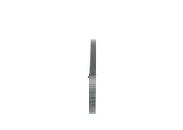 bosch-1-987-946-123-pasek-klinowy-wielorowkowy