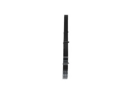 bosch-1-987-946-086-pasek-klinowy-wielorowkowy