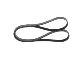 bosch-1-987-946-094-pasek-klinowy-wielorowkowy