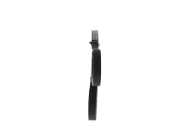 bosch-1-987-945-718-pasek-klinowy-wielorowkowy