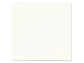 plytka-ceramiczna-chic-bone-15x15