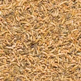 mix-suszonych-insektow