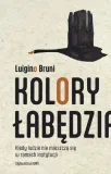 kolory-labedzia-luigino-bruni-wydawnictwo-wam