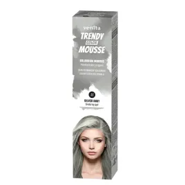 venita-pianka-koloryzujaca-do-wlosow-11-srebrny-pyl-silver-dust