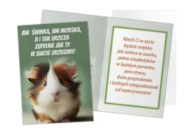 kartka-karnet-z-zyczeniami-ze-swinka-morska-b6-ogolny-wzor-maly-urodziny
