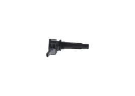 cewka-zaplonowa-bosch-f-01r-00a-148