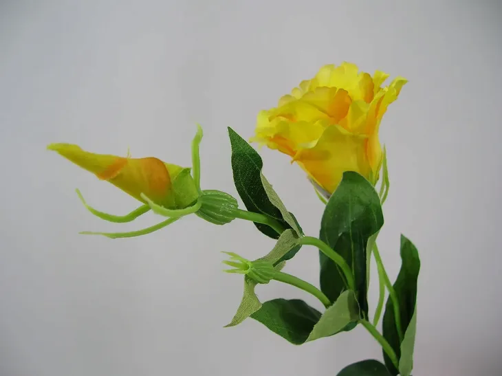 zolta-eustoma-sztuczna-galazka-eustomy