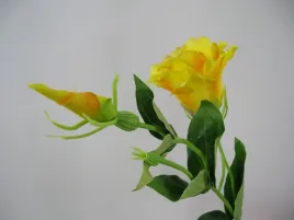 zolta-eustoma-sztuczna-galazka-eustomy