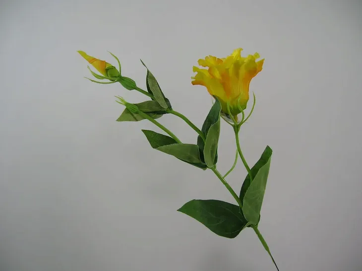 zolta-eustoma-sztuczna-galazka-eustomy-wysokosc-56-cm