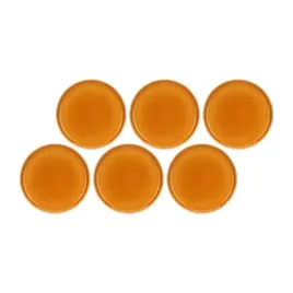 komplet-talerzy-arpeggio-25-cm-kamionka-pomarancz-rose-and-tulipani
