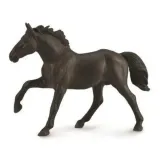 ogier-nonius-collecta